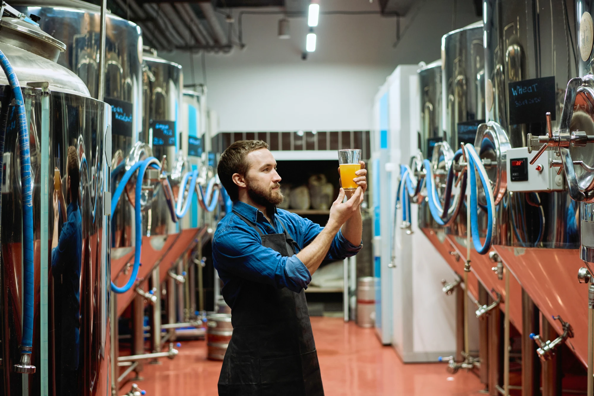 Brewery owner doing a quality assurance check 