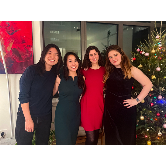 NYC Holiday